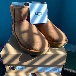 CLASSIC CHESTNUT MINI UGG
